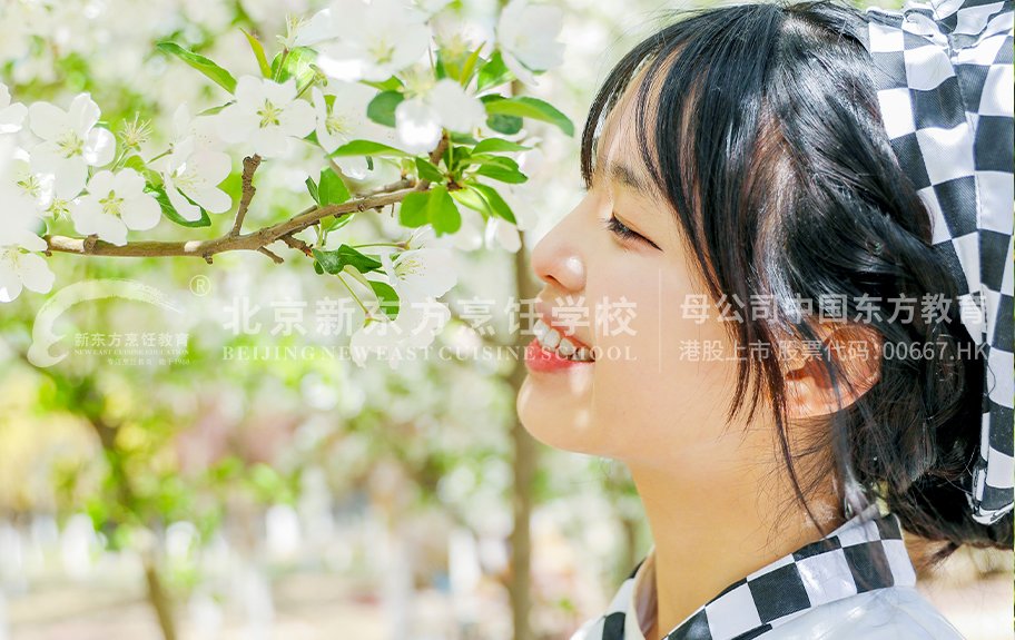 注册绑卡秒送68官方网站风采8