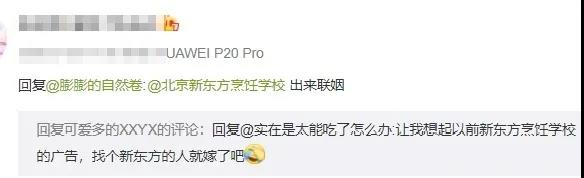 金典总厨专业